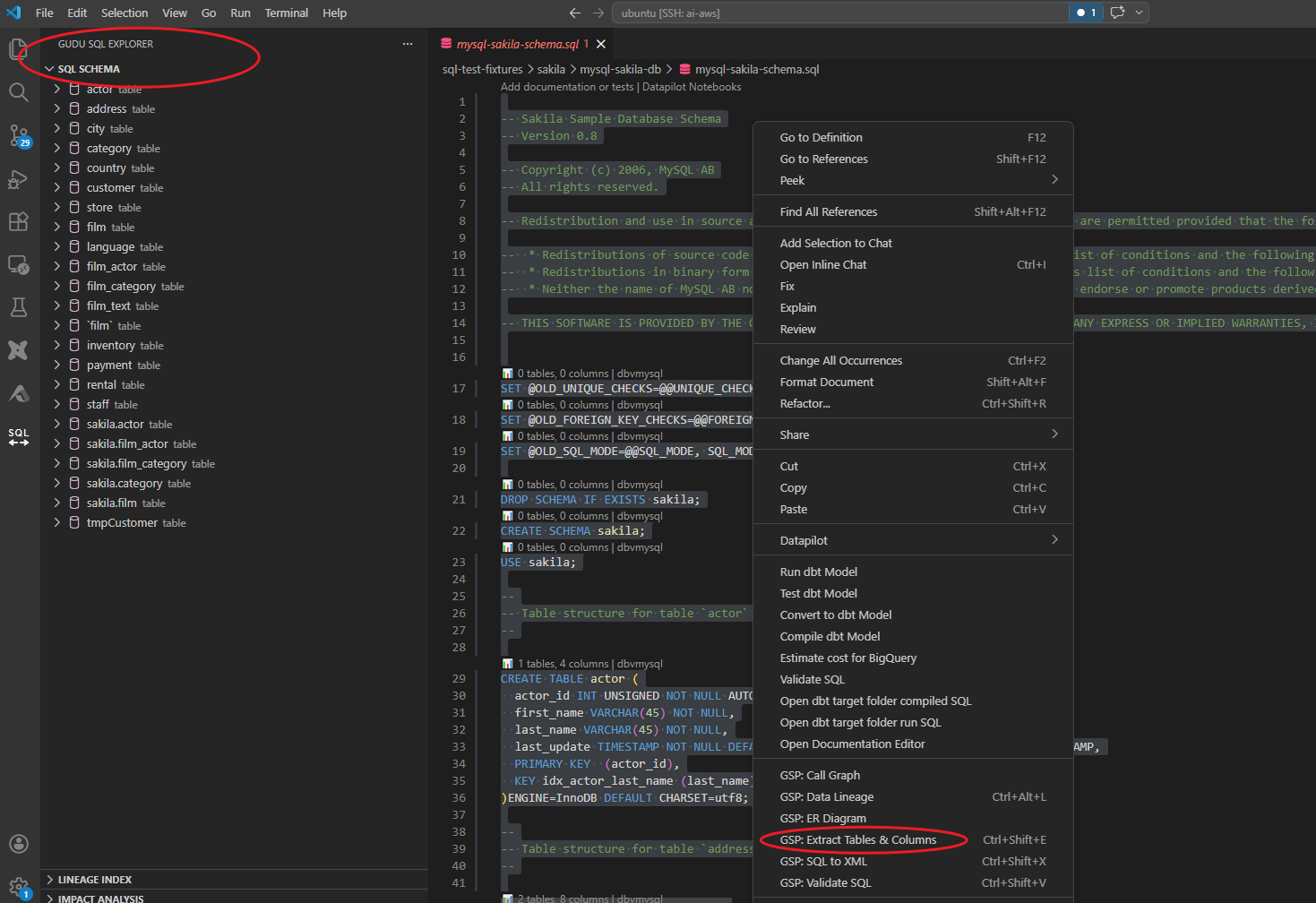Schema extraction with the SQL Structure tree view